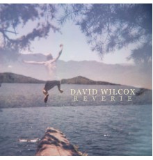 DAVID WILCOX - Reverie