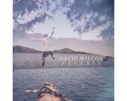 DAVID WILCOX - Reverie