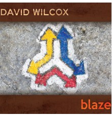 DAVID WILCOX - Blaze