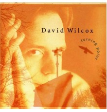 DAVID WILCOX - Turning Point