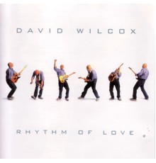 DAVID WILCOX - Rhythm Of Love