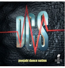 DCS - Punjabi Dance Nation