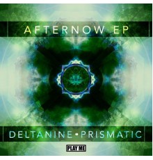 DELTAnine - Afternow EP