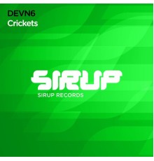 DEVN6 - Crickets