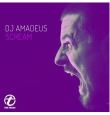 DJ Amadeus - Scream