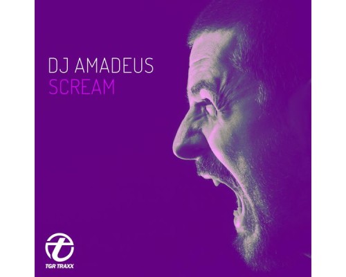 DJ Amadeus - Scream