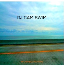 DJ Cam - Swim