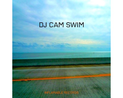 DJ Cam - Swim