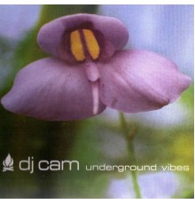 DJ Cam - Underground Vibes