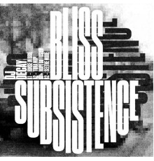 DJ Decay - Bliss Subsistence