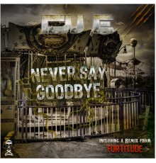 DJ E - Never Say Goodbye