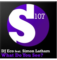 DJ Eco feat. Simon Latham - What Do You See?