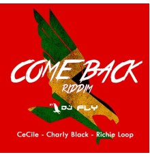 DJ Fly - Come Back Riddim