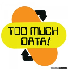 DJ Haus - Too Much Data