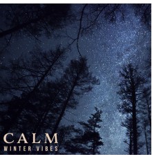 DJ Infinity Night, Chilled Ibiza - Calm Winter Vibes - Calm Ambient Music, Total Chill, Relaxation for the Long Winter Evenings