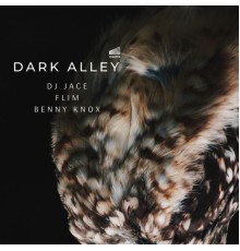 DJ Jace - Dark Alley