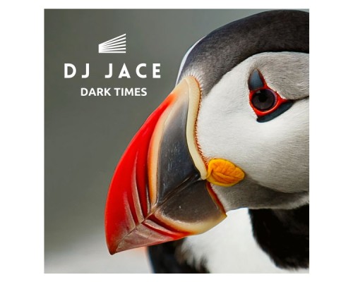 DJ Jace - Dark Times