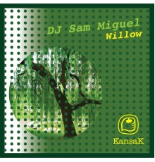 DJ Sam Miguel - Willow