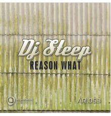 DJ Steep - Reason What