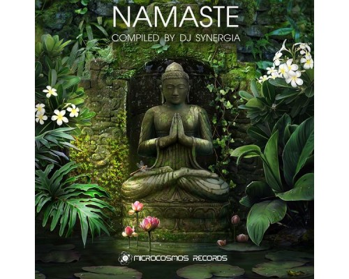 DJ Synergia - Namaste