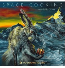 DJ V++ - Space Cooking