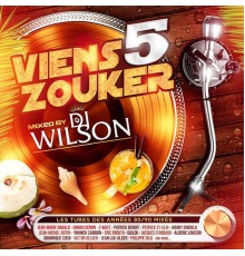 DJ Wilson - Viens zouker, vol. 5