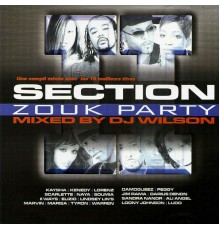 DJ Wilson - Section Zouk Party