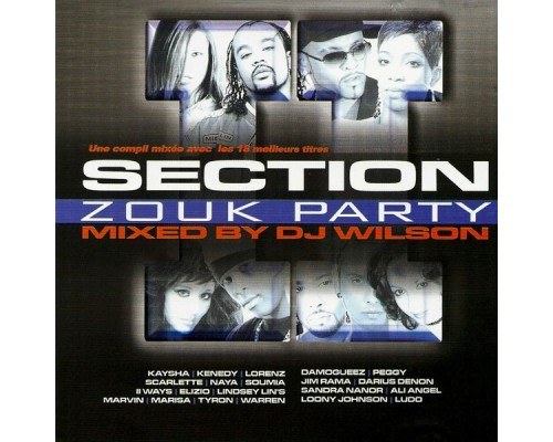 DJ Wilson - Section Zouk Party