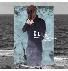 D.L.i.d - Anchors