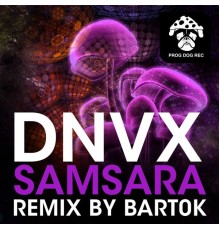 DNVX - Samsara