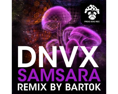 DNVX - Samsara