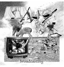 D.R.L.N. - Broadcasting