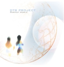 DT8 Project - Perfect World