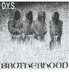 D.Y.S. - Brotherhood