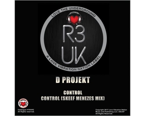 D Projekt - Control