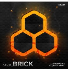 DaVIP - Brick