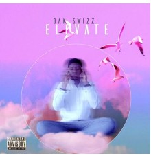 Dak Swizz - Elevate Ep