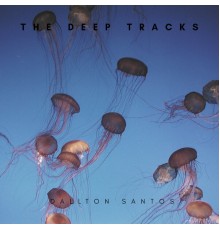 Dallton Santos - The Deep Tracks