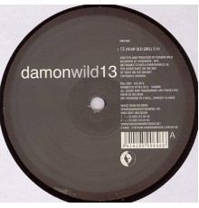 Damon Wild - 13