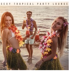 Dance Hits 2015, Deep House Lounge - Sexy Tropical Party Lounge – Chillout Music Mix for Carnival 2021