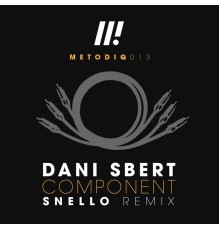 Dani Sbert - Component