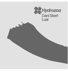 Dani Sbert - Luar