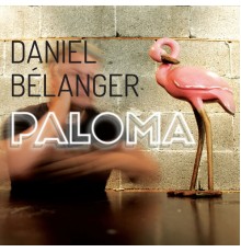 Daniel Bélanger - Paloma