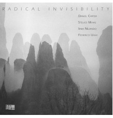 Daniel Carter - Radical Invisibility