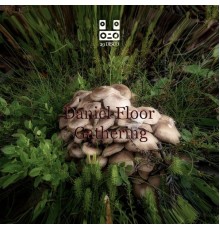 Daniel Floor - Garthering