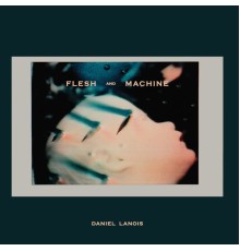 Daniel Lanois - Flesh And Machine