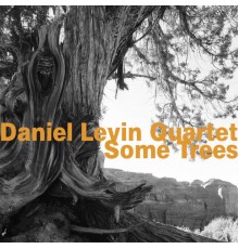Daniel Levin Quartet - Some Trees