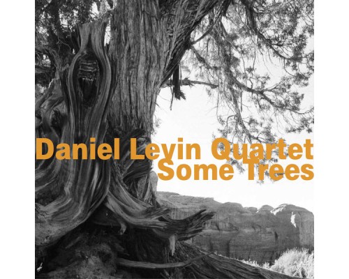 Daniel Levin Quartet - Some Trees