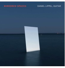 Daniel Lippel - Mirrored Spaces