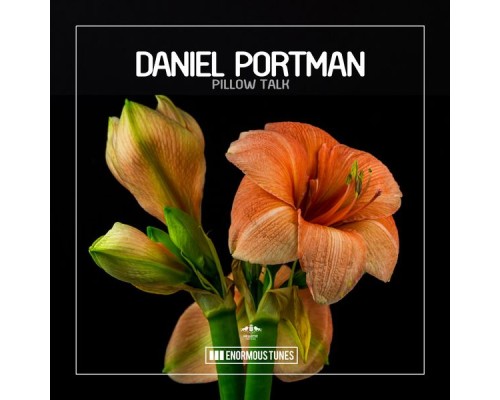 Daniel Portman - Pillow Talk